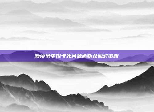 新帝豪中控卡死问题解析及应对策略