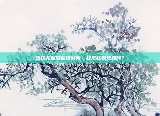 雪铁龙凯旋油耗解析，经济性表现如何？