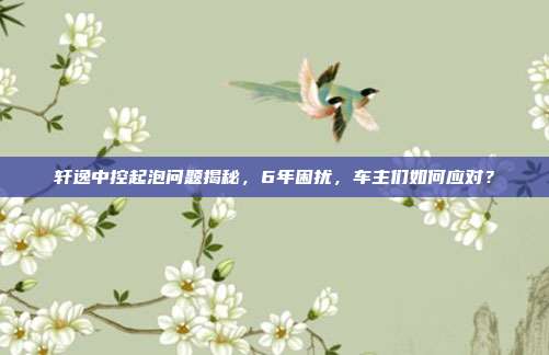 轩逸中控起泡问题揭秘，6年困扰，车主们如何应对？