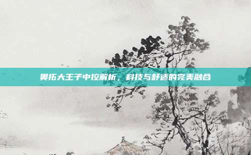 奥拓大王子中控解析，科技与舒适的完美融合
