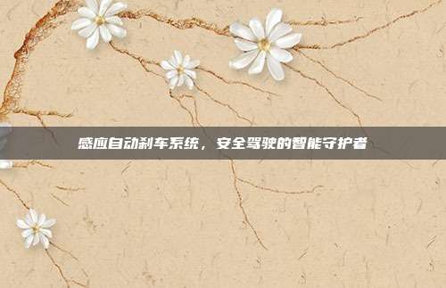 感应自动刹车系统，安全驾驶的智能守护者
