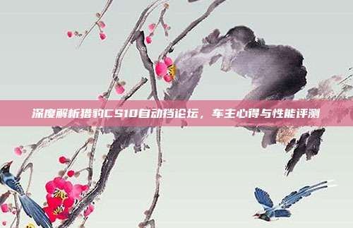 深度解析猎豹CS10自动挡论坛，车主心得与性能评测