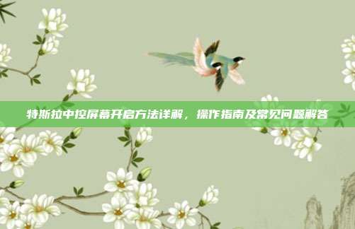 特斯拉中控屏幕开启方法详解，操作指南及常见问题解答