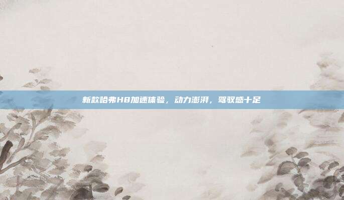 新款哈弗H8加速体验，动力澎湃，驾驭感十足