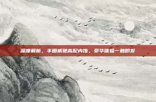 深度解析，丰田威驰高配内饰，豪华体验一触即发