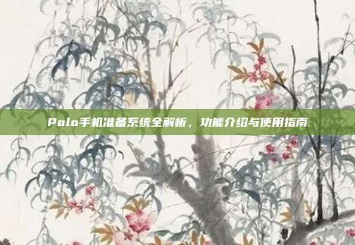 Polo手机准备系统全解析，功能介绍与使用指南