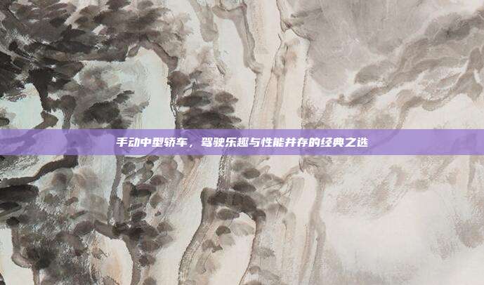 手动中型轿车，驾驶乐趣与性能并存的经典之选