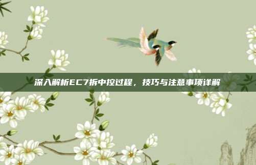 深入解析EC7拆中控过程，技巧与注意事项详解