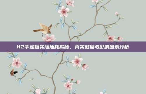 H2手动挡实际油耗揭秘，真实数据与影响因素分析