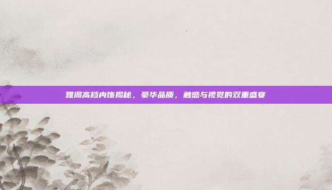雅阁高档内饰揭秘，豪华品质，触感与视觉的双重盛宴