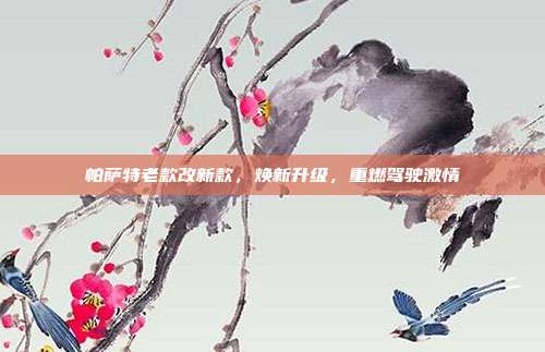 帕萨特老款改新款，焕新升级，重燃驾驶激情