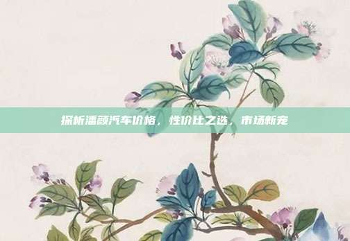 探析潘颜汽车价格，性价比之选，市场新宠