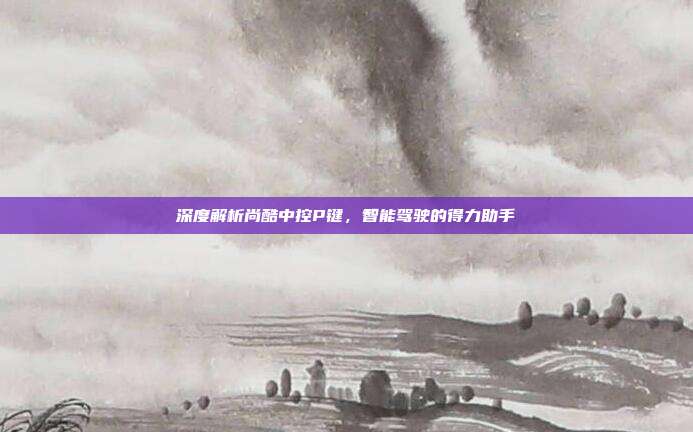 深度解析尚酷中控P键，智能驾驶的得力助手
