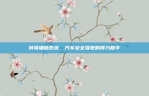 转弯辅助系统，汽车安全驾驶的得力助手