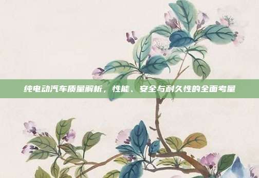 纯电动汽车质量解析，性能、安全与耐久性的全面考量