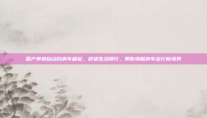 国产单排自动挡房车崛起，舒适生活随行，带你领略房车出行新境界