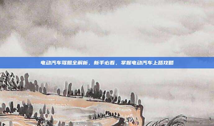 电动汽车驾照全解析，新手必看，掌握电动汽车上路攻略