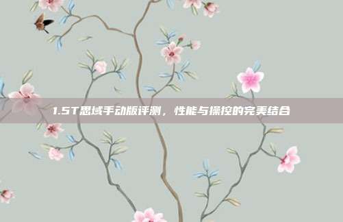 1.5T思域手动版评测，性能与操控的完美结合