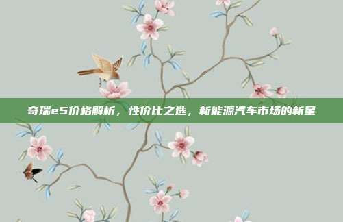奇瑞e5价格解析，性价比之选，新能源汽车市场的新星
