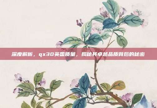 深度解析，qx30英国质量，揭秘其卓越品质背后的秘密
