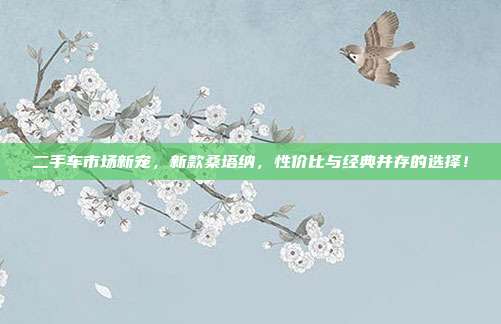 二手车市场新宠，新款桑塔纳，性价比与经典并存的选择！