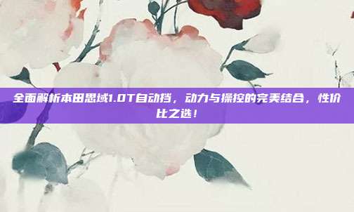 全面解析本田思域1.0T自动挡，动力与操控的完美结合，性价比之选！
