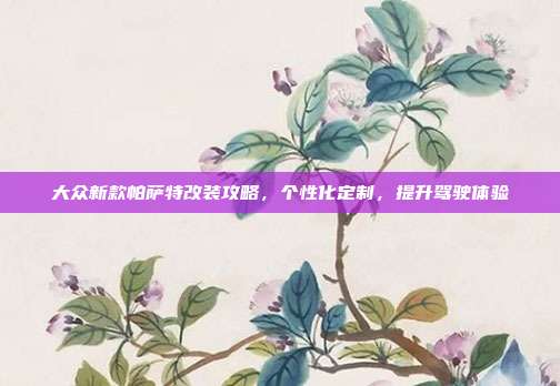 大众新款帕萨特改装攻略，个性化定制，提升驾驶体验