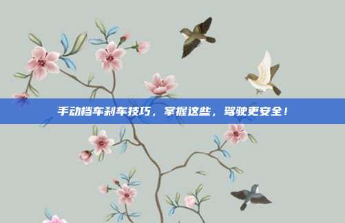 手动档车刹车技巧，掌握这些，驾驶更安全！
