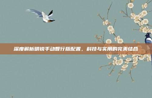 深度解析明锐手动智行版配置，科技与实用的完美结合