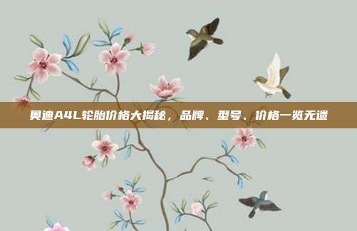 奥迪A4L轮胎价格大揭秘，品牌、型号、价格一览无遗