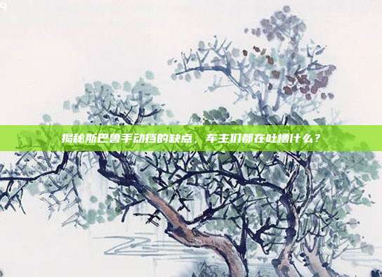 揭秘斯巴鲁手动挡的缺点，车主们都在吐槽什么？