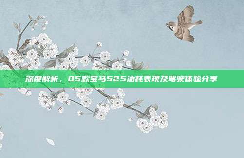 深度解析，05款宝马525油耗表现及驾驶体验分享