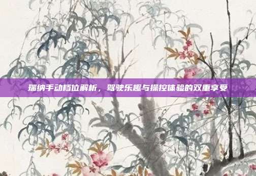 瑞纳手动档位解析，驾驶乐趣与操控体验的双重享受