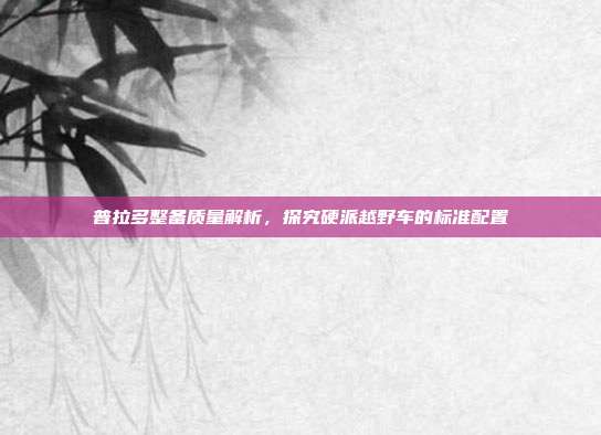 普拉多整备质量解析，探究硬派越野车的标准配置