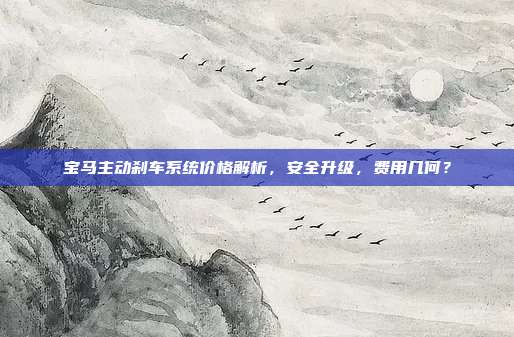 宝马主动刹车系统价格解析，安全升级，费用几何？