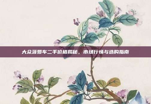 大众菠萝车二手价格揭秘，市场行情与选购指南