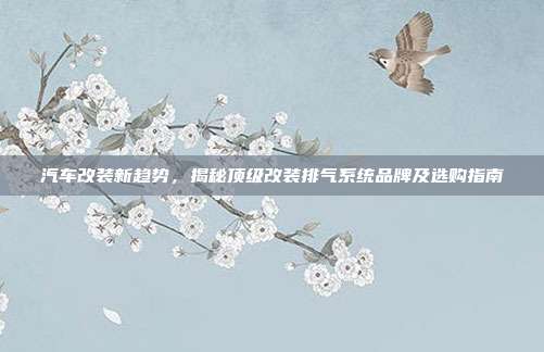 汽车改装新趋势，揭秘顶级改装排气系统品牌及选购指南