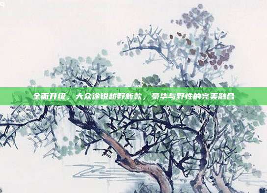 全面升级，大众途锐越野新款，豪华与野性的完美融合