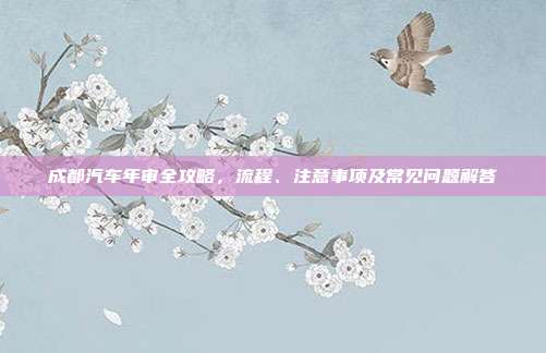 成都汽车年审全攻略，流程、注意事项及常见问题解答