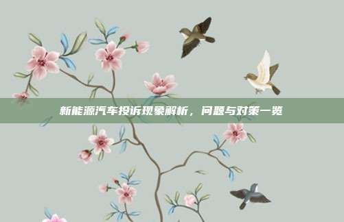 新能源汽车投诉现象解析，问题与对策一览