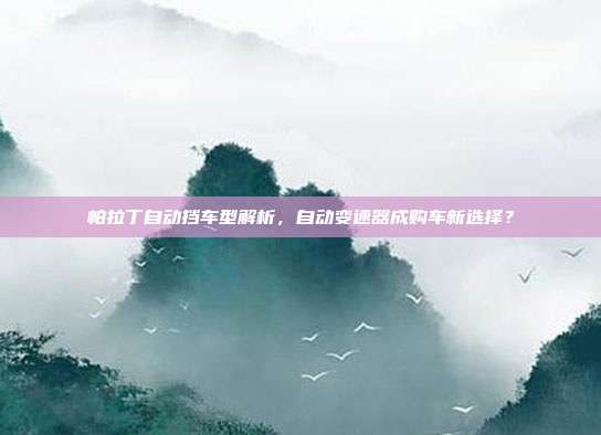 帕拉丁自动挡车型解析，自动变速器成购车新选择？