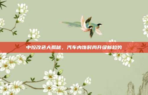 中控改色大揭秘，汽车内饰时尚升级新趋势