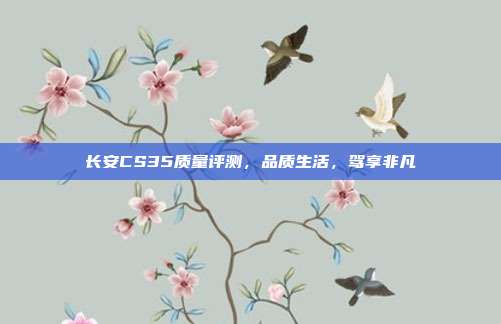 长安CS35质量评测，品质生活，驾享非凡