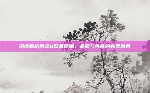 深度解析合众U整备质量，品质与性能的完美融合