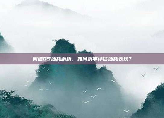 奥迪Q5油耗解析，如何科学评估油耗表现？