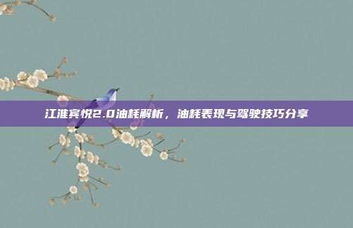江淮宾悦2.0油耗解析，油耗表现与驾驶技巧分享