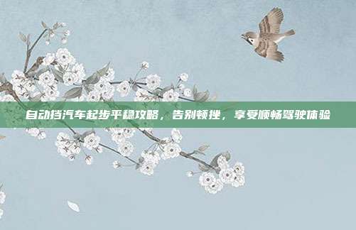 自动挡汽车起步平稳攻略，告别顿挫，享受顺畅驾驶体验