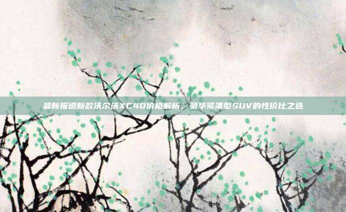 最新报道新款沃尔沃XC40价格解析，豪华紧凑型SUV的性价比之选