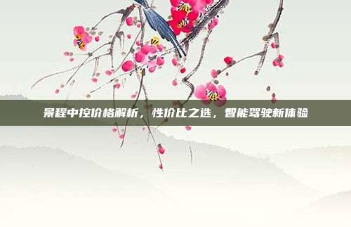 景程中控价格解析，性价比之选，智能驾驶新体验