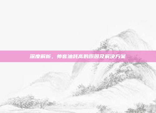 深度解析，帅客油耗高的原因及解决方案